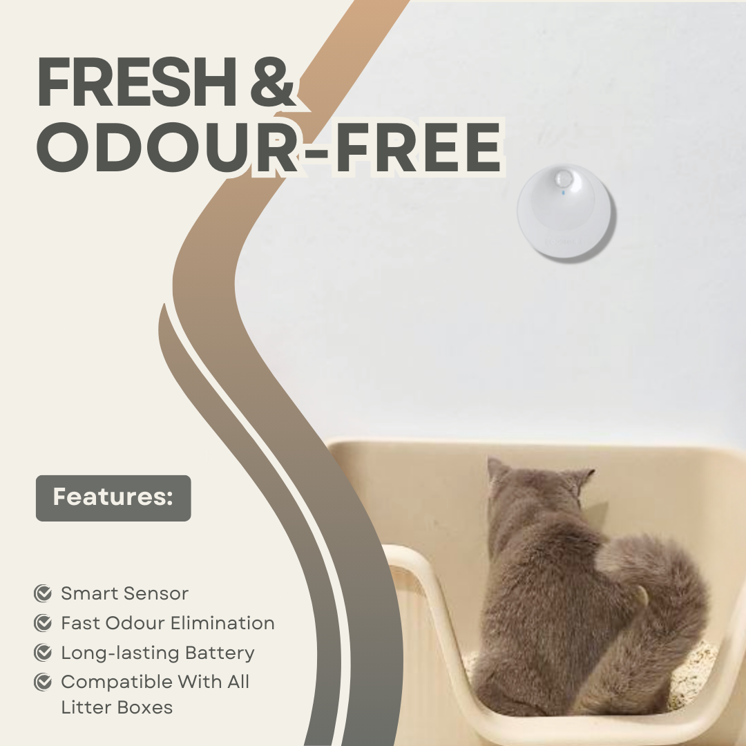 Mini Air Purifier For Cat Litter Box