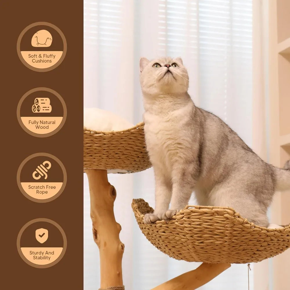 Boho Haven Cat Tree Retreat