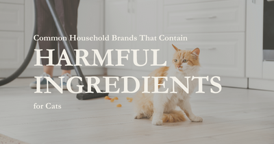 Common Household Brands That Contain Harmful Ingredients for Cats