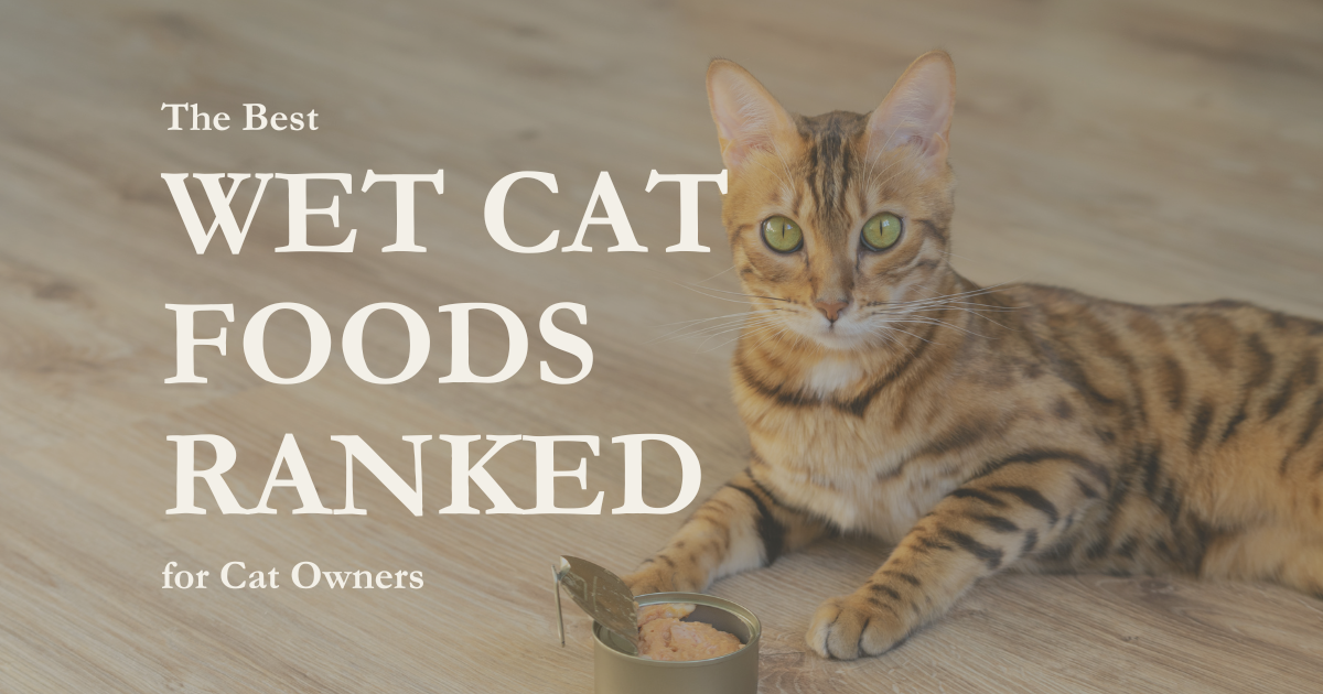 The Best Wet Cat Foods Ranked for Cat Owners