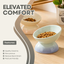 Elevated Ceramic Cat Bowl