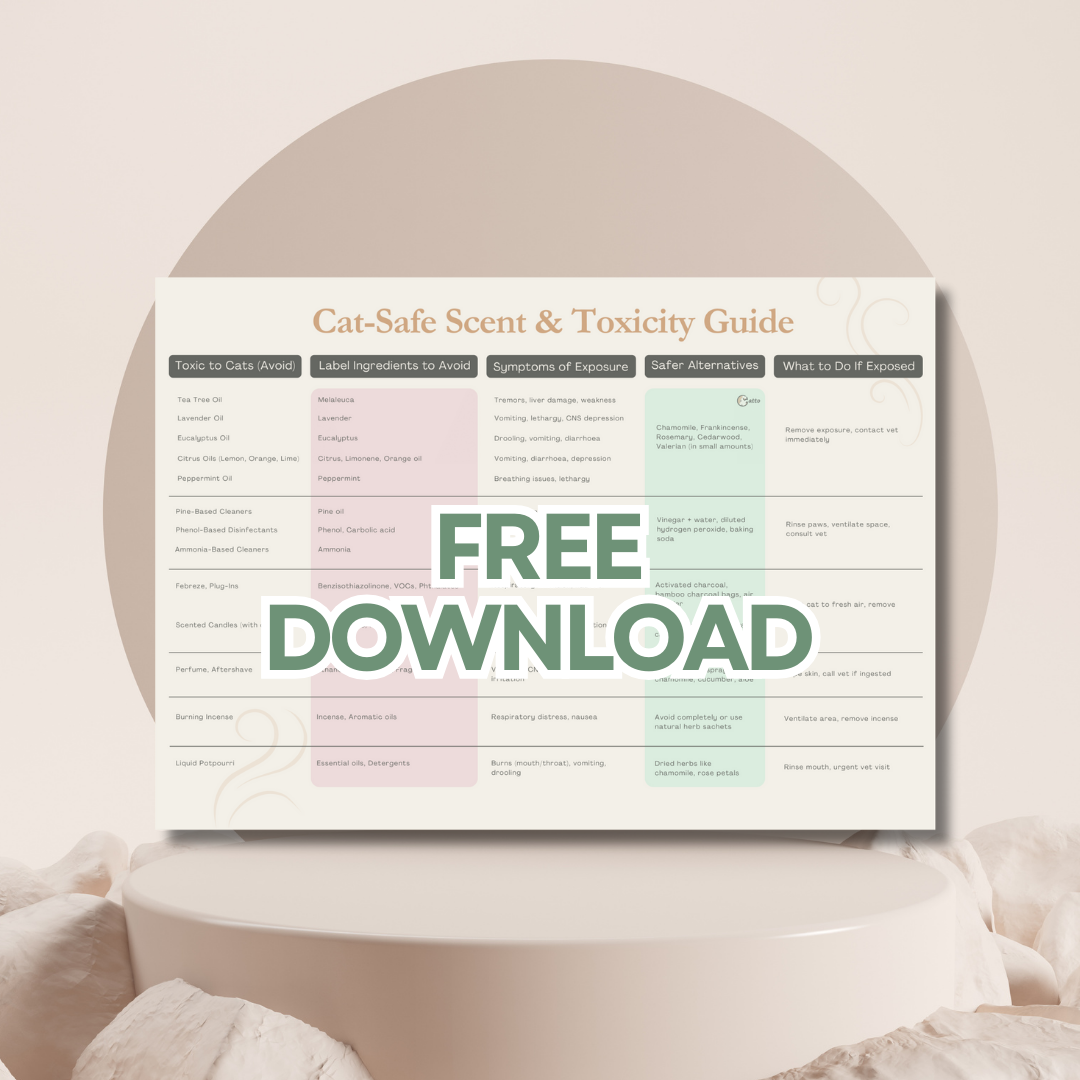 [E-Guide] Cat-Safe Scent & Toxicity Guide
