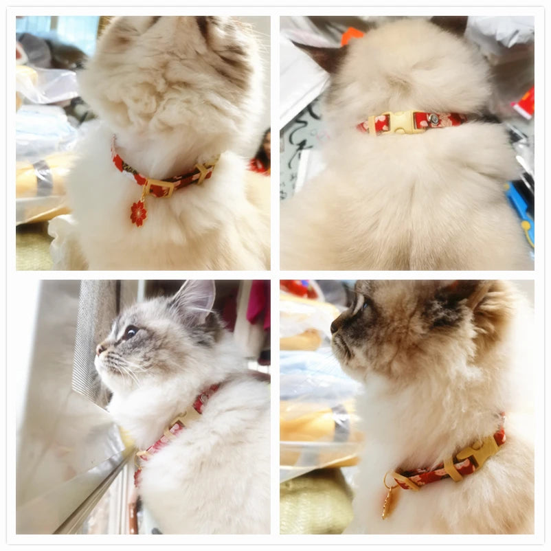 Penny blossom cat collar best sale